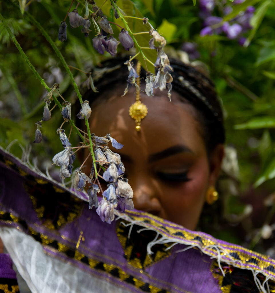 Lemat - Eritrea traditionele shoot Hortus Haren